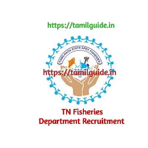 Tiruvallur Fisheries Welfare Recruitment