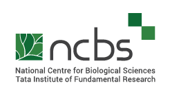 NCBS Recruitment